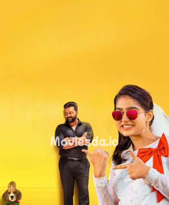 Mr and Mrs Bachelor (2026) movie poster