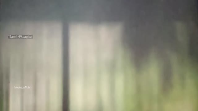 Dorothy 2026 HQ PreDVD 1080p HD.mp4